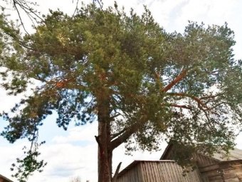 Фото пресс-службы областного правительства. Фото пресс-службы областного правительства.