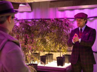 Стоп-кадр из к/ф «Джентльмены». Стоп-кадр из к/ф «Джентльмены».