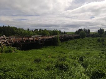 Фото пресс-службы правительства региона Фото пресс-службы правительства региона