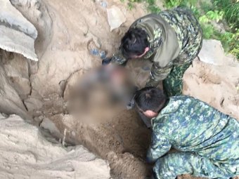 Фото: СУ СК. Фото: СУ СК.