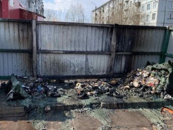 Фото: «ЭкоИнтегратор».