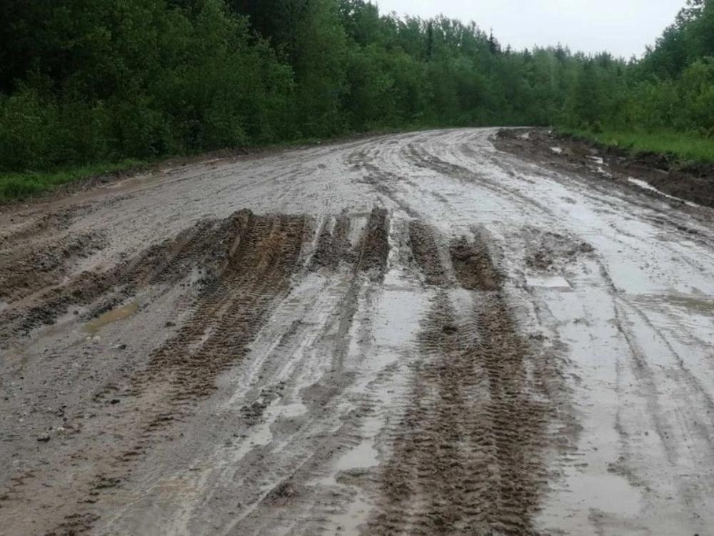 Фото телеграм-канала «Экология Поморья. Северо-Запад».