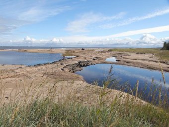 Фото Игоря Арсентьева.