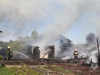 Все фото: МЧС по Архангельской области. 