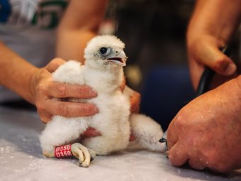 Фото: «Уралсиб».