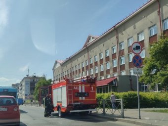 Фото: Ужас фон Бужас.