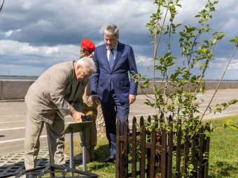 Фото со страницы Дмитрия Морева/«ВК».