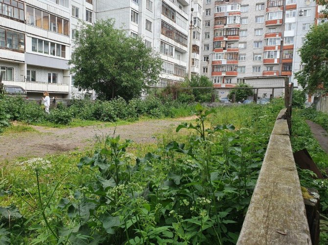 Фото телеграм-канала «Михаил Шишов».