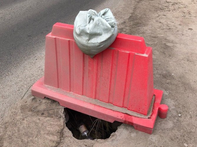 Фото телеграм-канала «Экология Поморья. Северо-Запад».