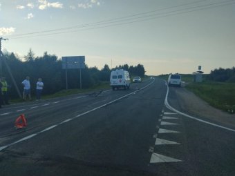 Фото пресс-службы УМВД по Архангельской области