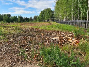 Фото прокуратуры Архангельской области.