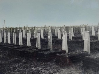 Фото пресс-службы администрации Архангельска.