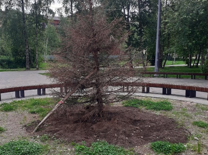 Фото на паспорт архангельск соломбала