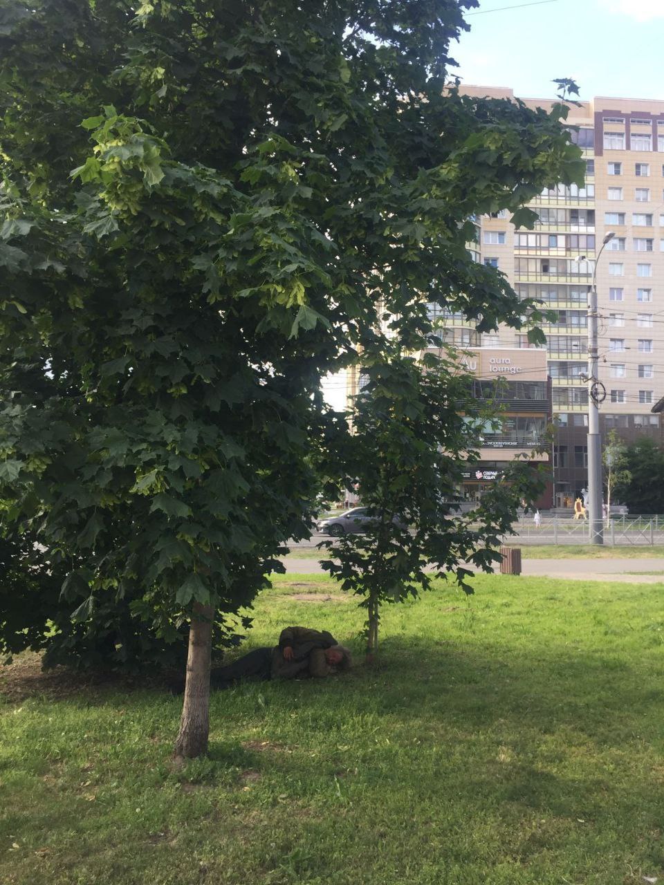 Фото телеграм-канала «Правда Поморья».