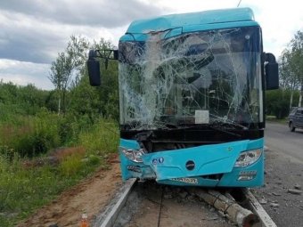 Фото: «Жесть Поморья».